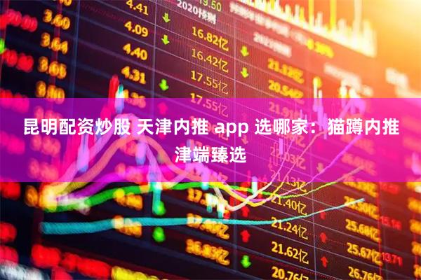 昆明配资炒股 天津内推 app 选哪家：猫蹲内推津端臻选